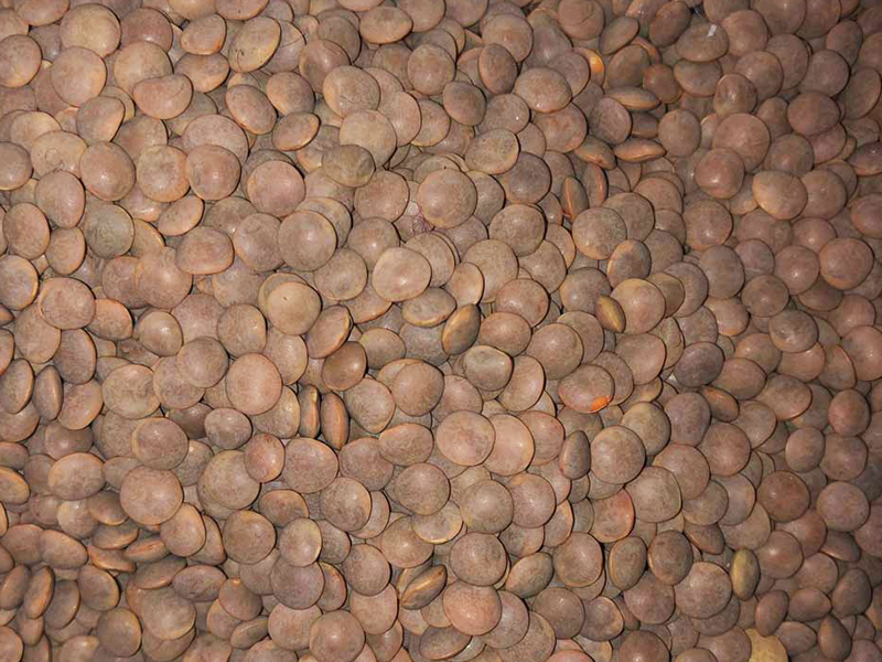 LENTICCHIA ROSSA DELLE COLLINE SICILIANE  S. & G. DI SICILIA 5 KG